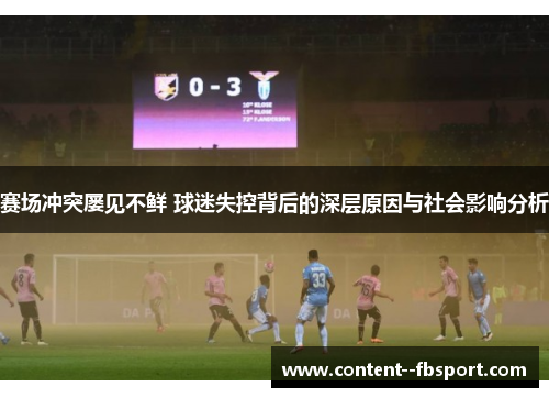 赛场冲突屡见不鲜 球迷失控背后的深层原因与社会影响分析