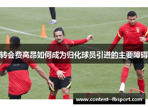 转会费高昂如何成为归化球员引进的主要障碍