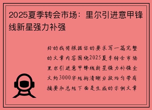2025夏季转会市场：里尔引进意甲锋线新星强力补强